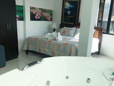 Suite - Hotel Santa Mónica - Fusagasuga, Cundinamarca - image - 6