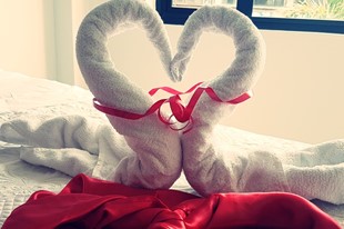 Noche Romántica - Hotel Santa Mónica - Fusagasuga, Cundinamarca - image - 4