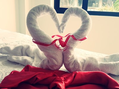 Noche Romántica - Hotel Santa Mónica - Fusagasuga, Cundinamarca - image - 4