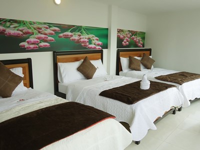 Hotel Santa Mónica - Fusagasuga, Cundinamarca - image - 16