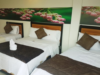 Habitación Quíntuple - Hotel Santa Mónica - Fusagasuga, Cundinamarca - image - 2