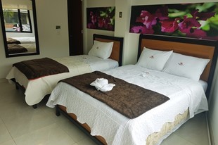 Habitación Triple - Hotel Santa Mónica - Fusagasuga, Cundinamarca - image - 2