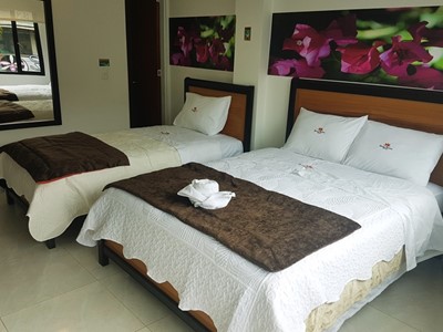 Hotel Santa Mónica - Fusagasuga, Cundinamarca - image - 13