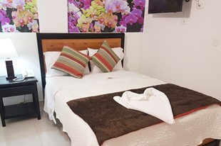 Estándard Doble - Hotel Santa Mónica - Fusagasuga, Cundinamarca - image - 1