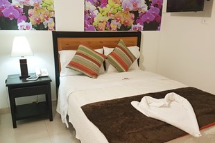 Estándard Doble - Hotel Santa Mónica - Fusagasuga, Cundinamarca - image - 4